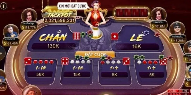 Quan trọng của thống kê xóc đĩa
