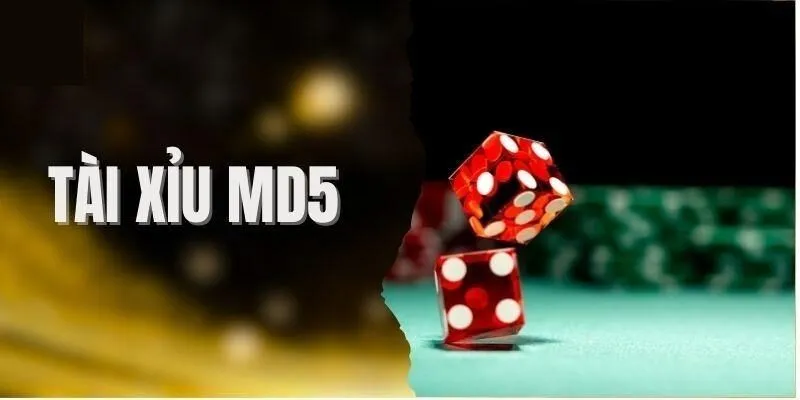 So sánh minh bạch giữa tài xỉu MD5 và bản thường